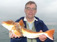 [Record Tub Gurnard]